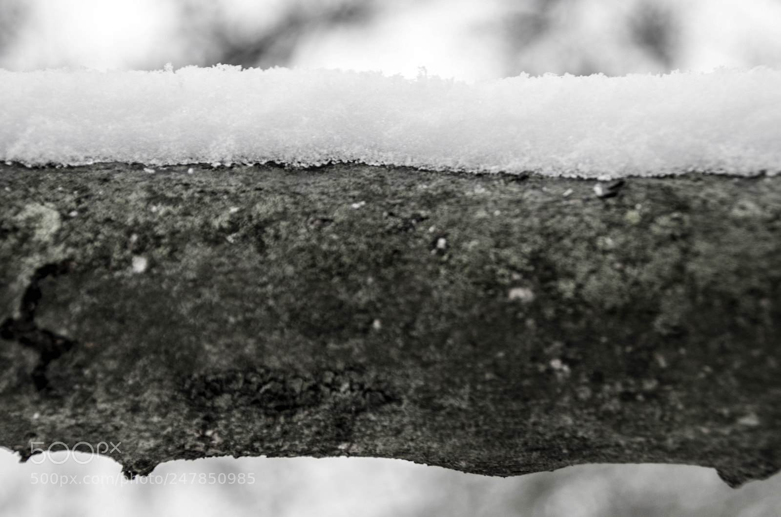 Pentax K-30 sample photo. Snow in bw photography