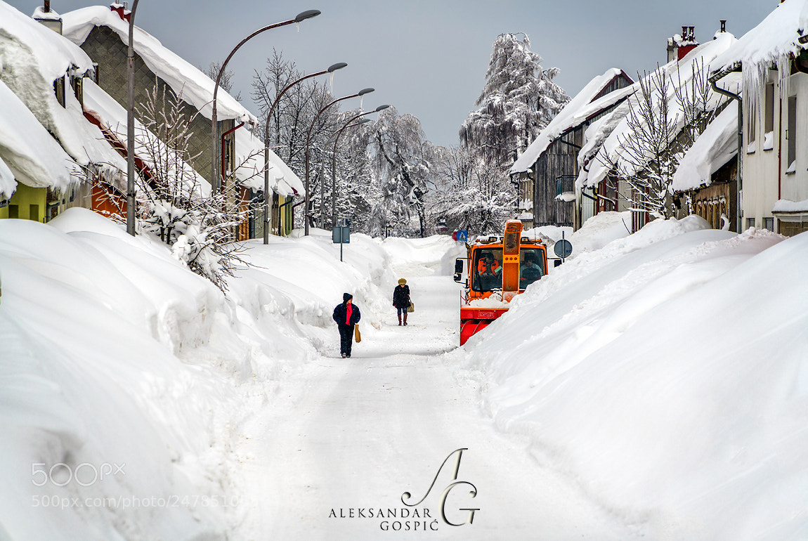 Nikon D850 sample photo. Snowmageddon photography