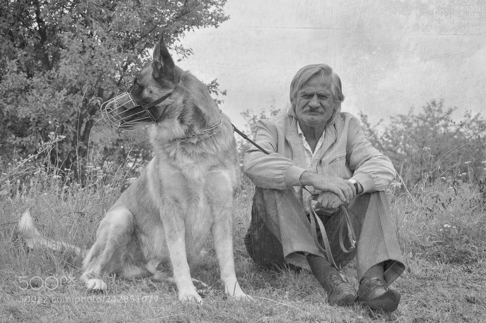 Nikon D5000 sample photo. Old man with dog photography