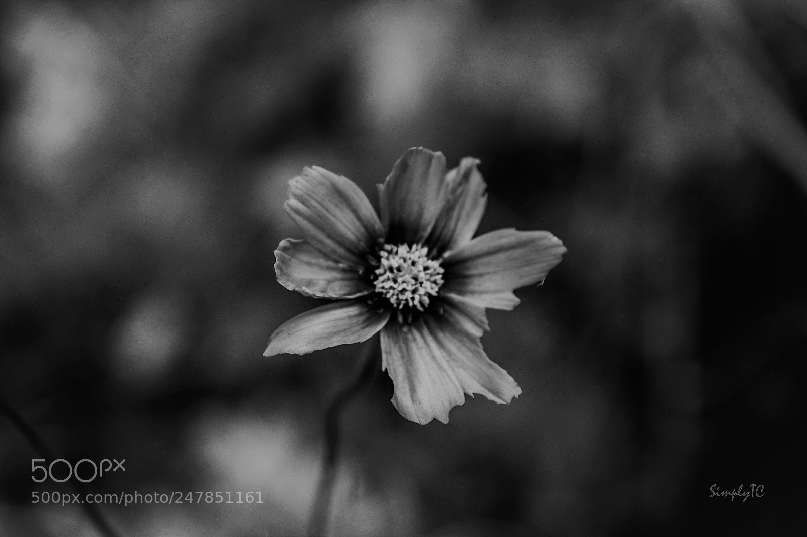 Fujifilm X-T1 sample photo. Darkness and light photography