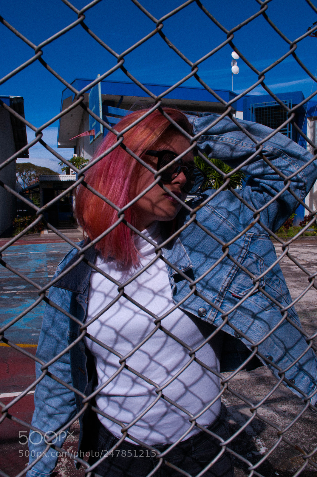 Nikon D5000 sample photo. Pink photography