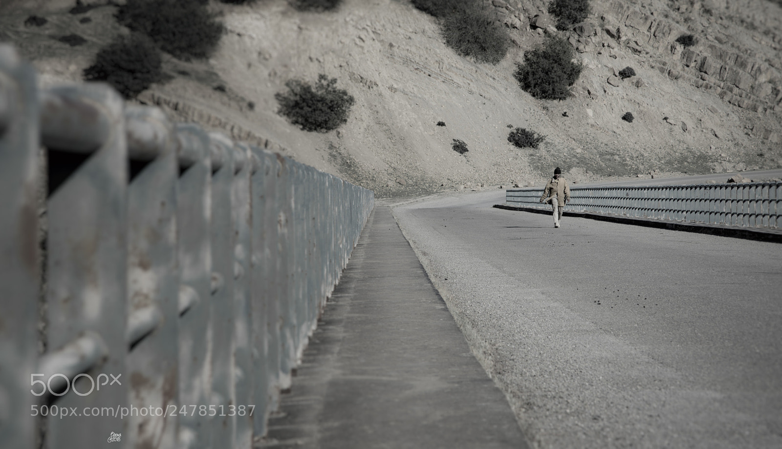 Nikon D610 sample photo. Road on atlas photography