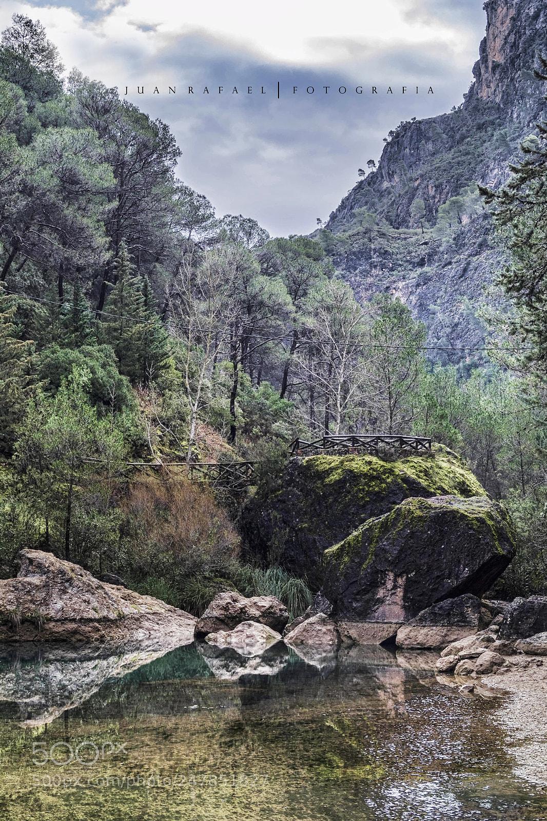 Nikon D3100 sample photo. Charco del aceite. parque photography