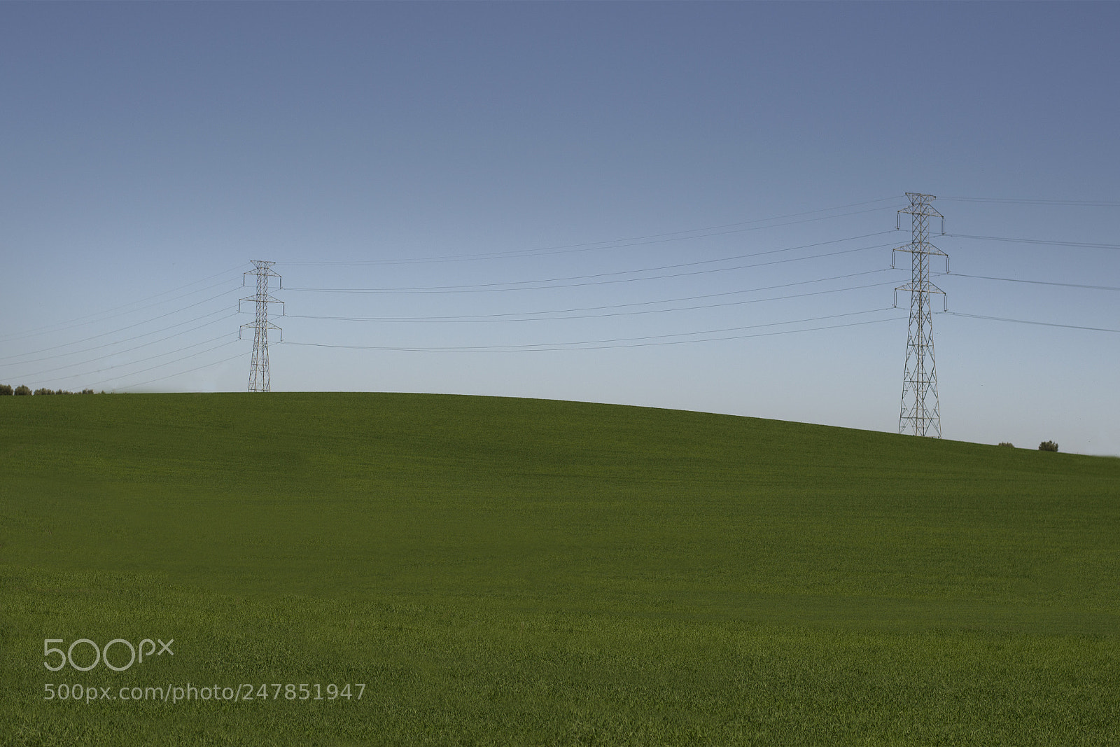 Nikon D3100 sample photo. Green communications photography