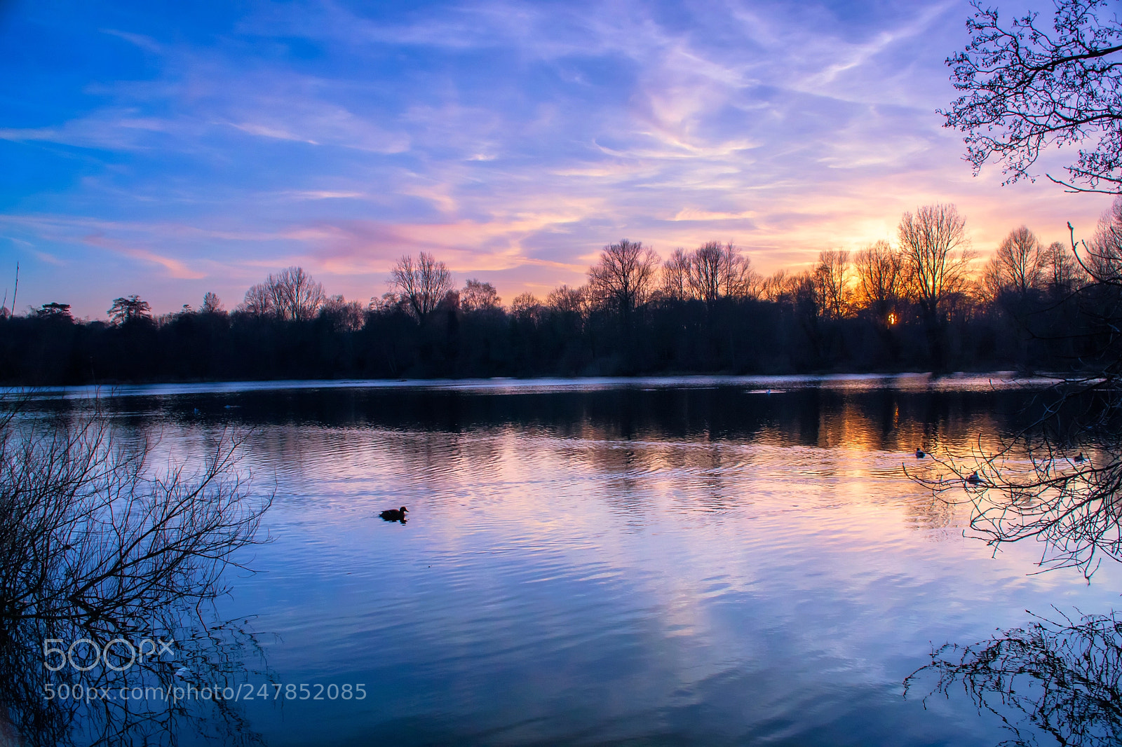 Nikon D3100 sample photo. Beauty of sevenoaks lakes photography