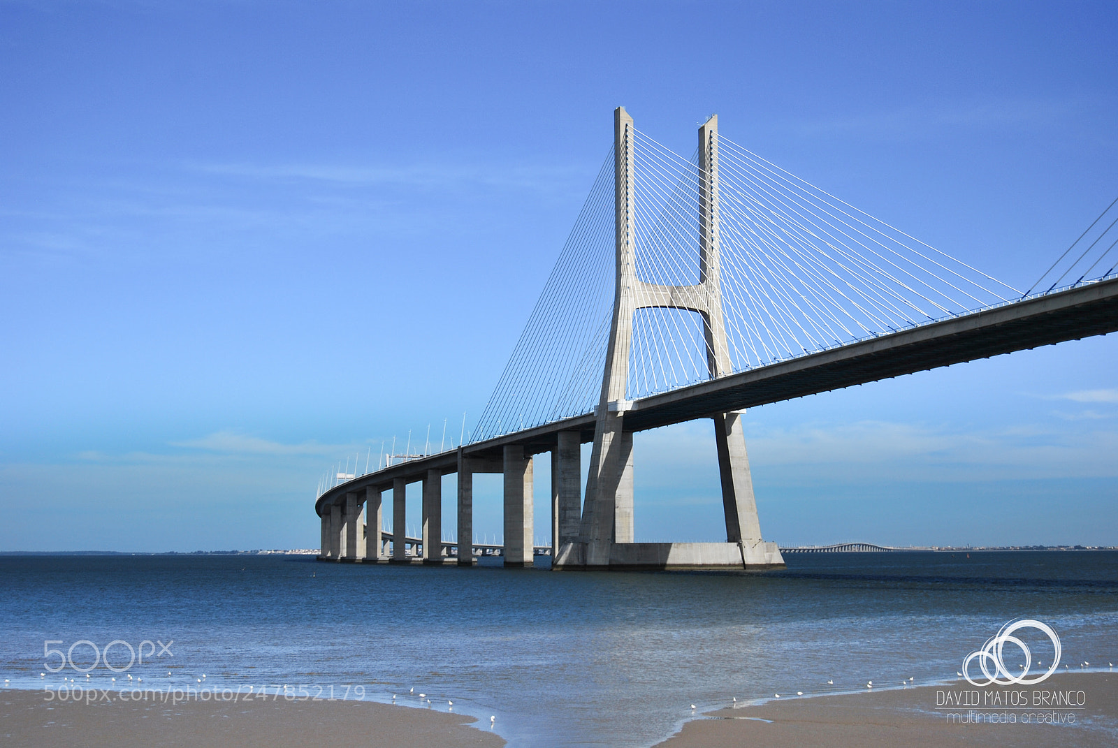 Nikon D60 sample photo. Vasco da gama bridge photography