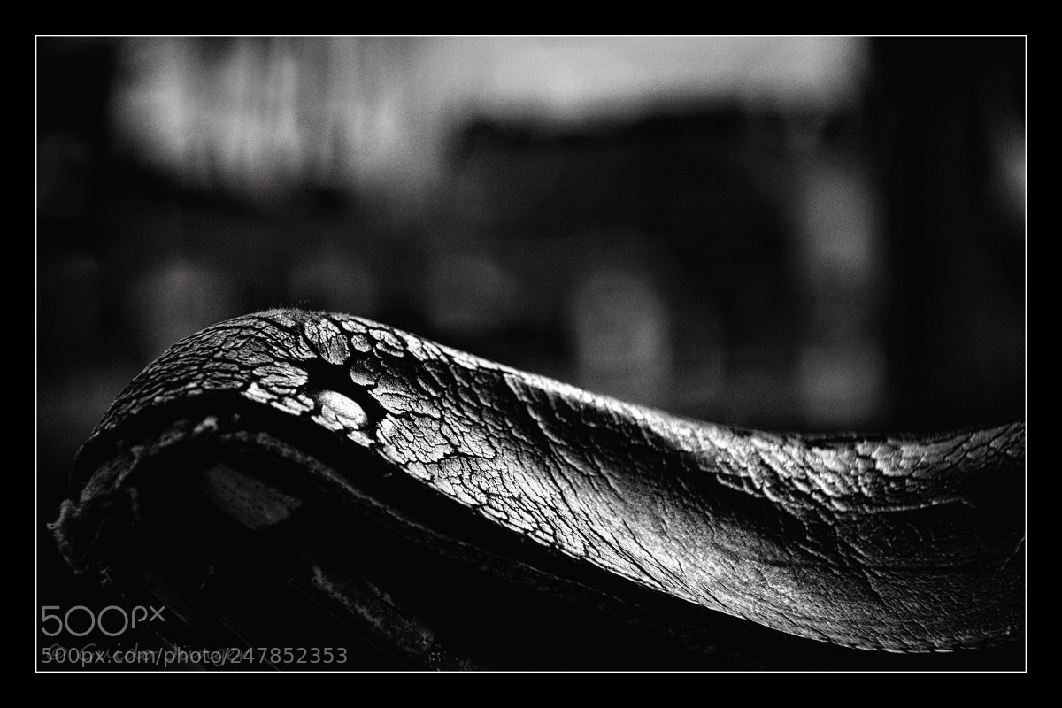 Nikon D7100 sample photo. Altes leder photography