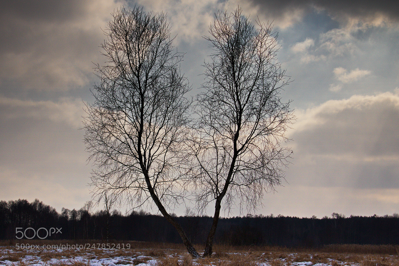 Canon EOS 760D (EOS Rebel T6s / EOS 8000D) sample photo. Together, for a lifetime. photography