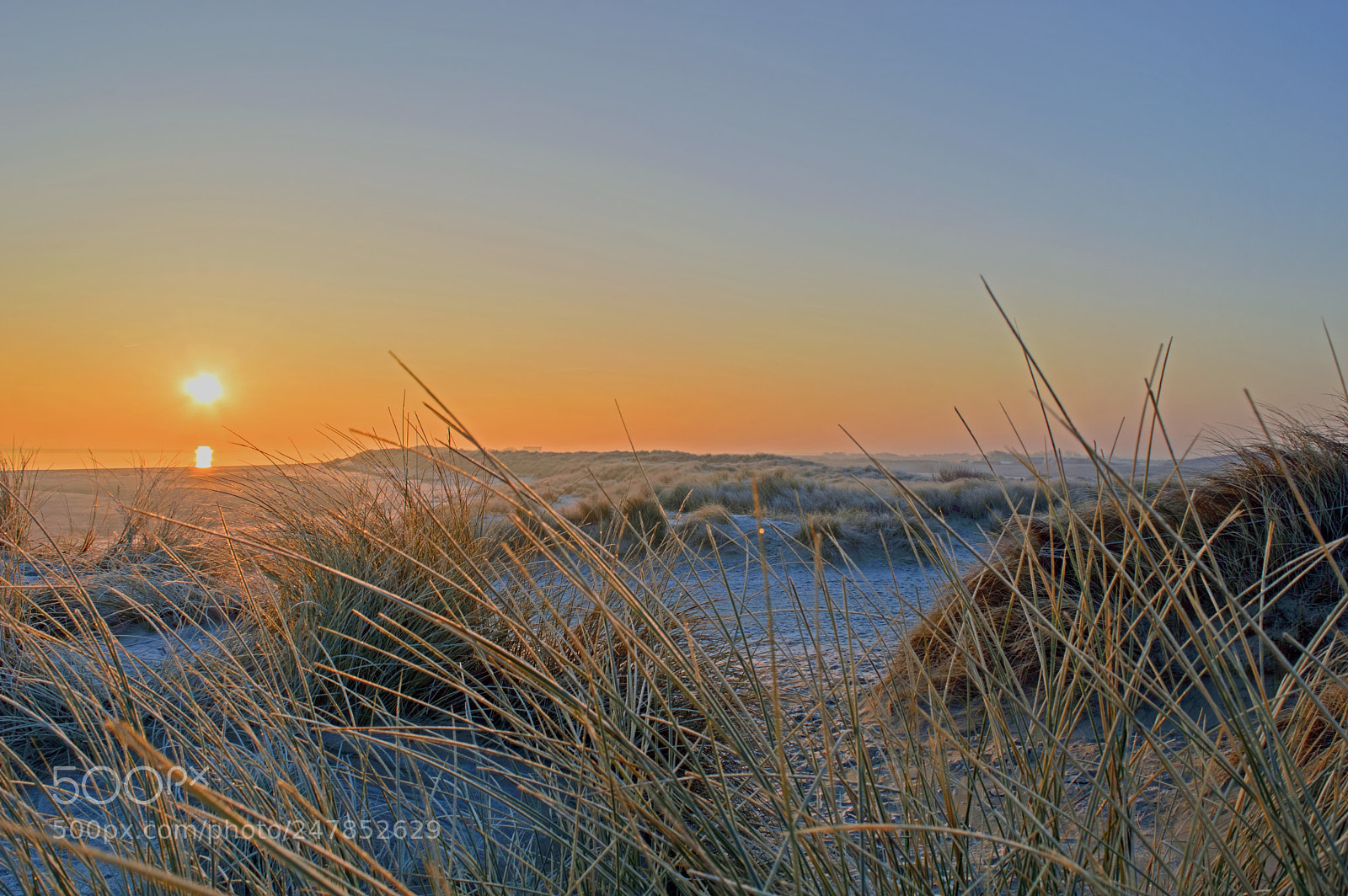 Nikon D3200 sample photo. Sunrise at texel photography