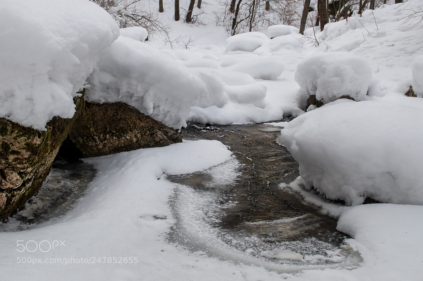 Nikon D90 sample photo. March cuha- stream photography