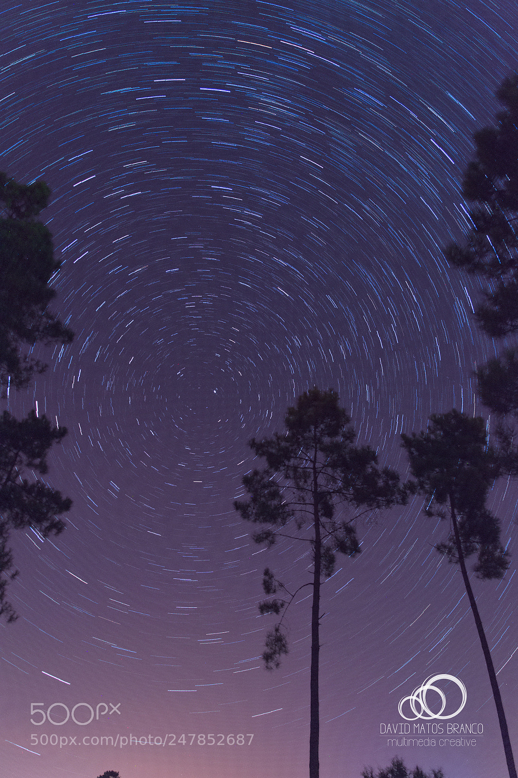 Nikon D3100 sample photo. Polar star trail photography