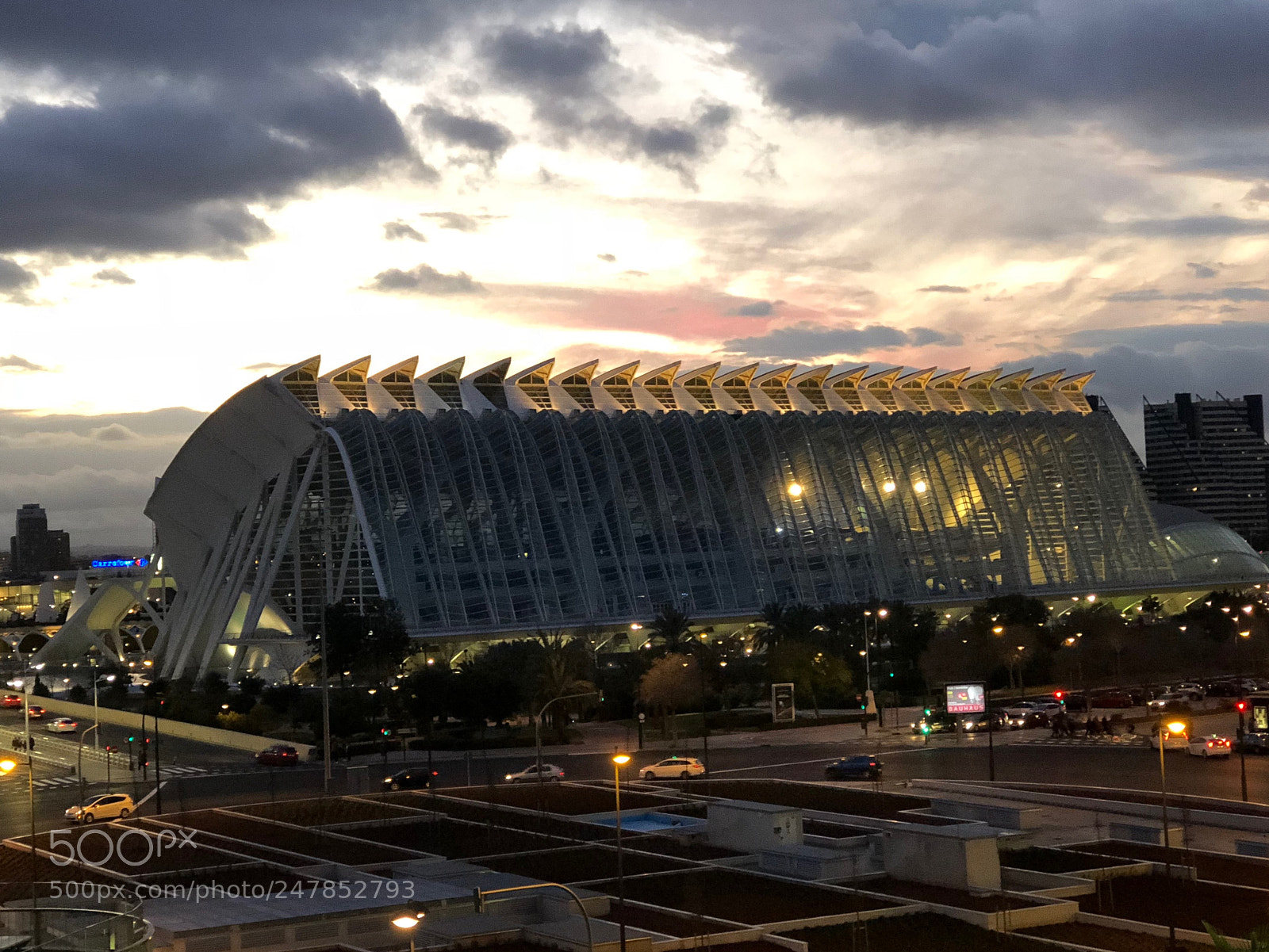 Apple iPhone 8 Plus sample photo. Museo de las artes photography