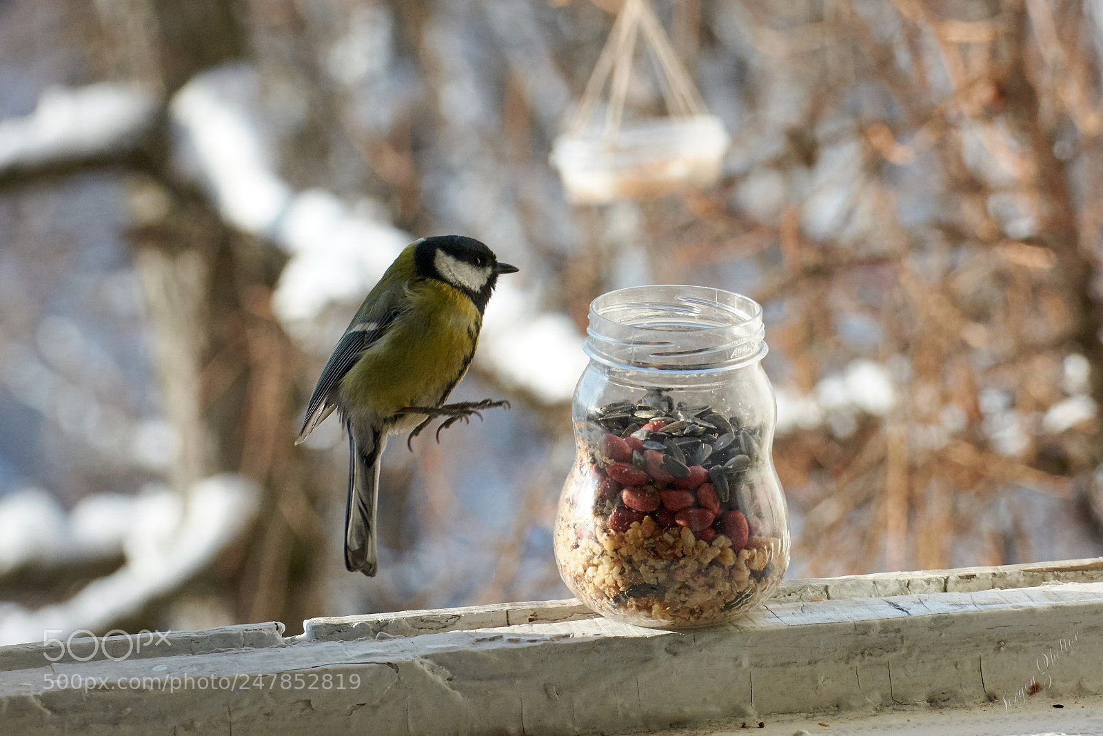 Nikon D7100 sample photo. How many!!! photography