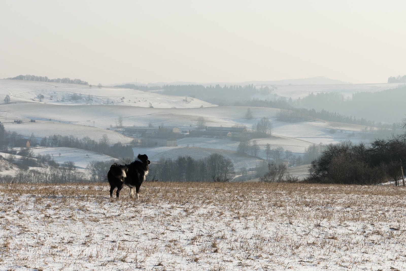 Nikon D7200 sample photo. On the hill photography