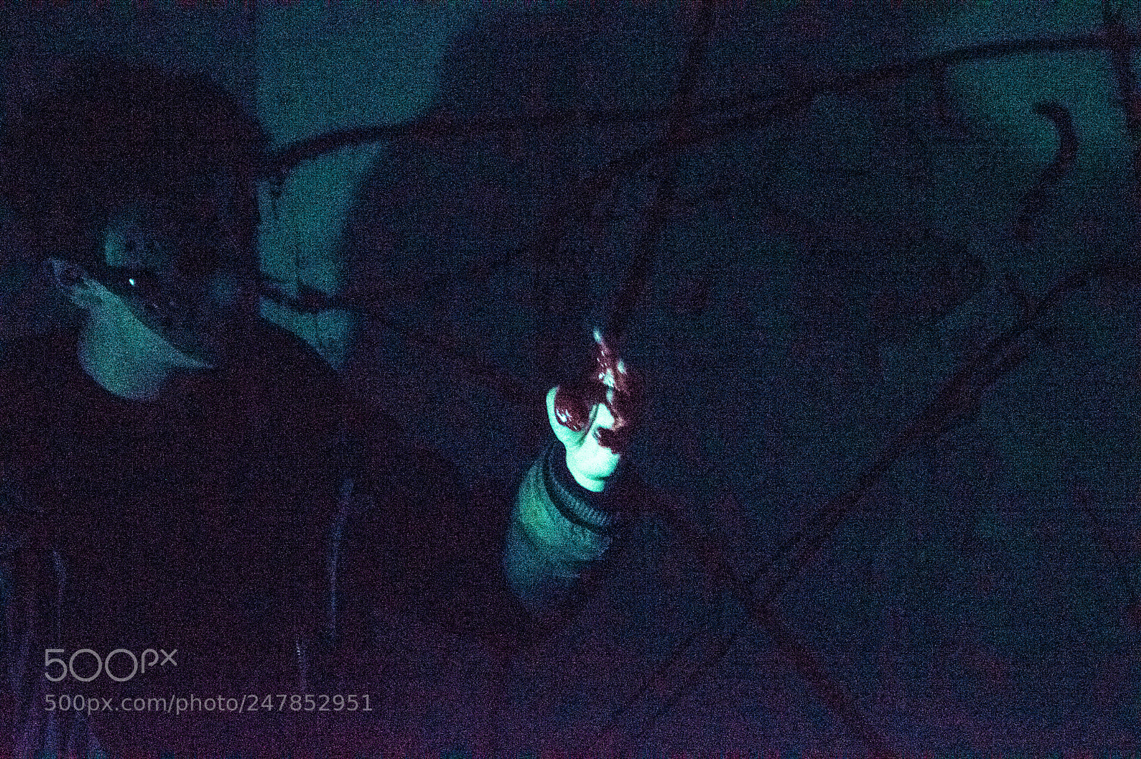 Nikon D3200 sample photo. Death has come photography