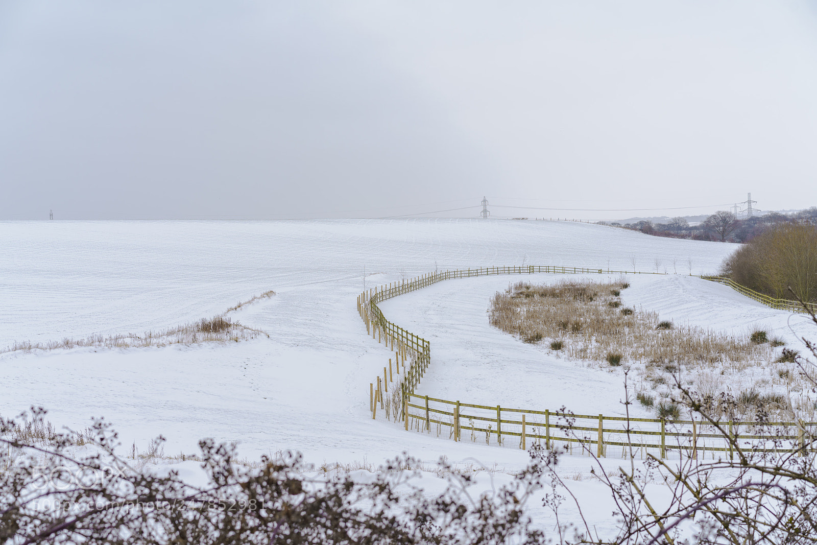 Sony a7R III sample photo. A little cold today❄️ photography
