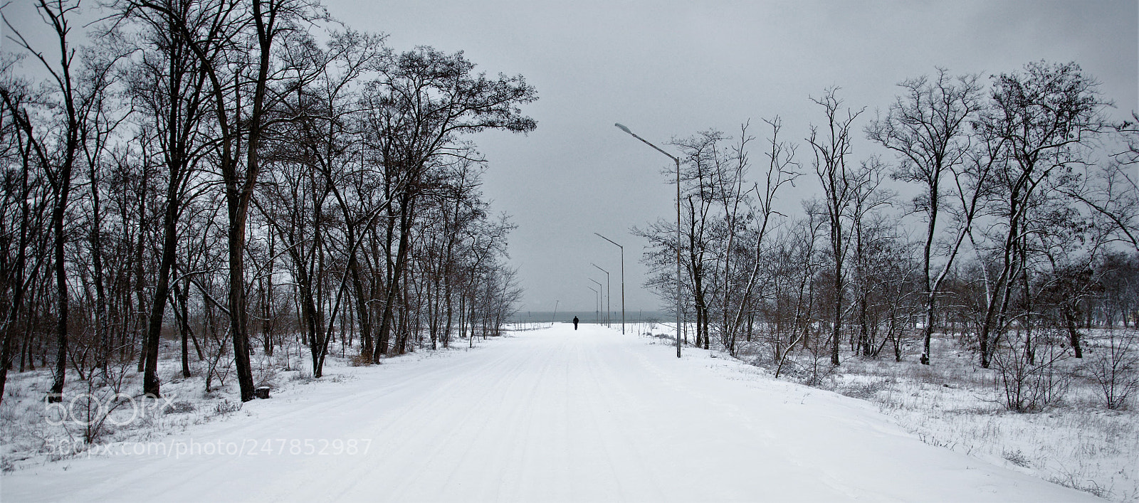 Nikon D90 sample photo. Winter time photography