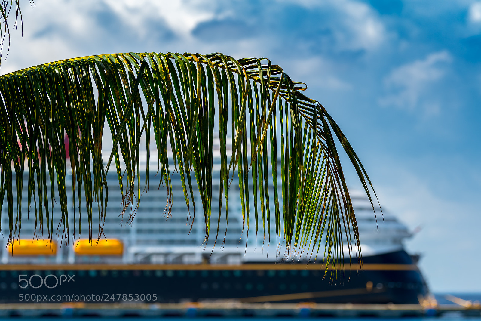 Nikon D500 sample photo. Cozumelcruiseship photography