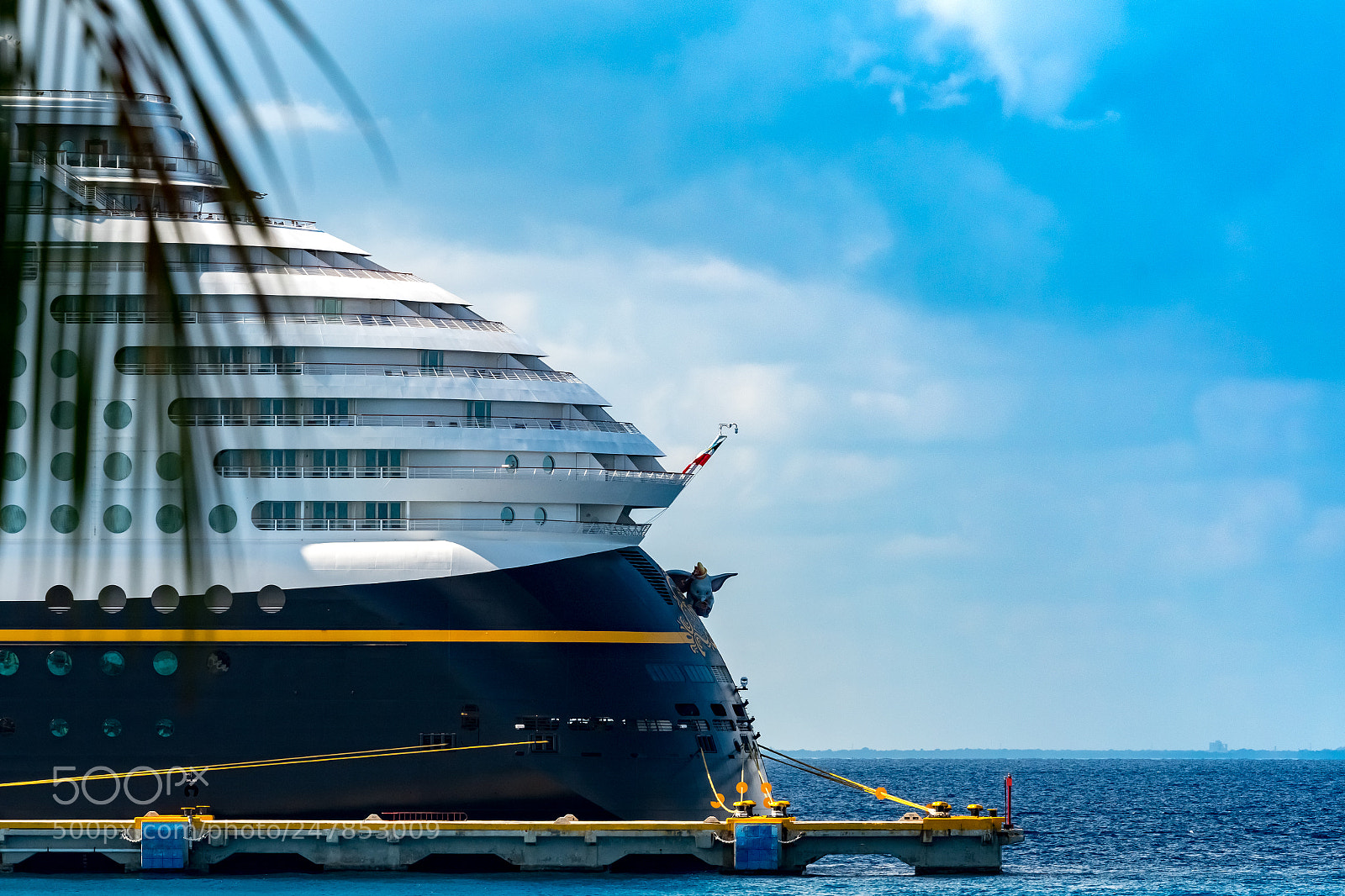 Nikon D500 sample photo. Cozumelcruiseship photography