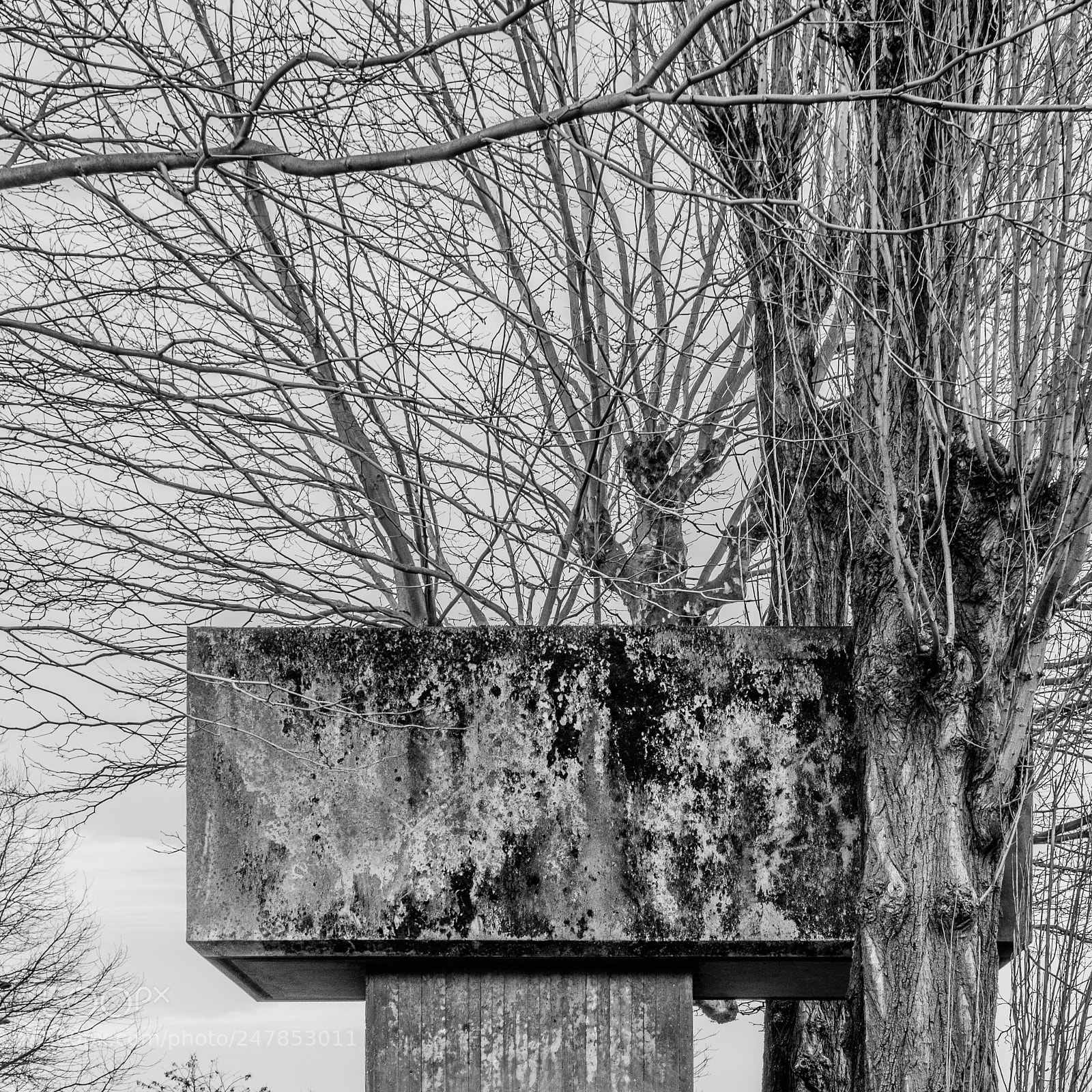 Fujifilm X-T2 sample photo. Belgacom photography