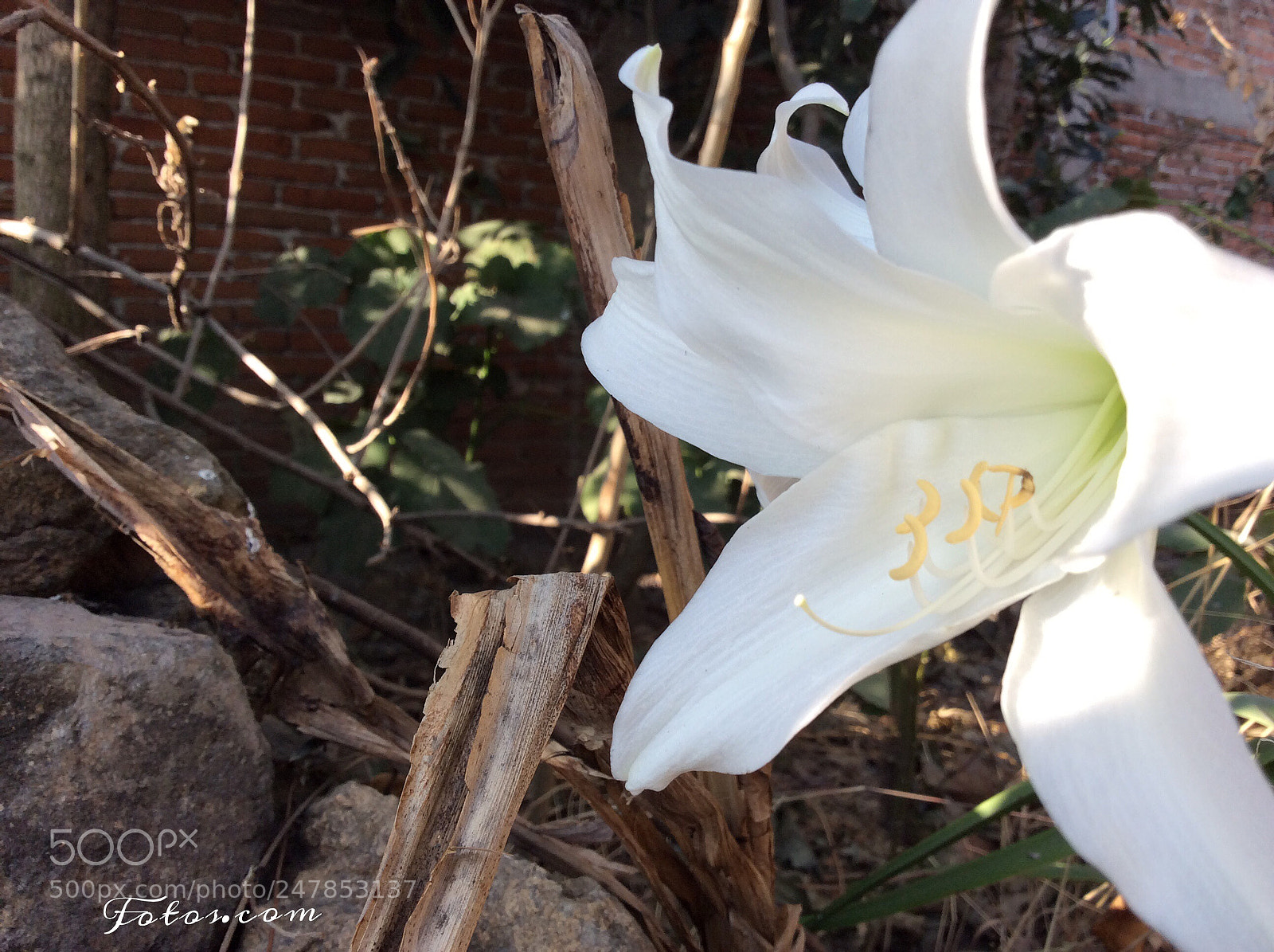 Apple iPad Air sample photo. Untitled photography