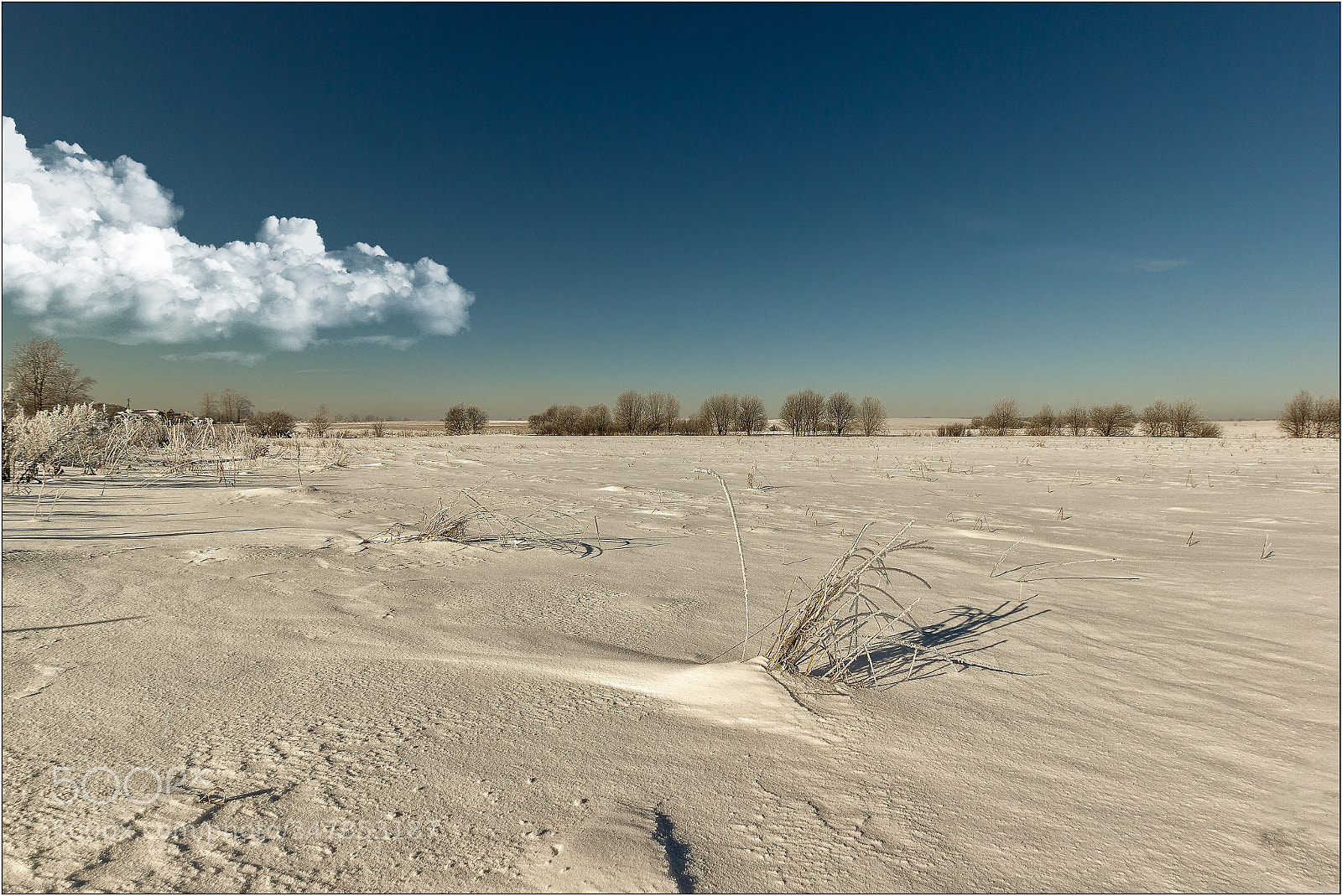 Canon EOS 550D (EOS Rebel T2i / EOS Kiss X4) sample photo. Winter landscape of the photography
