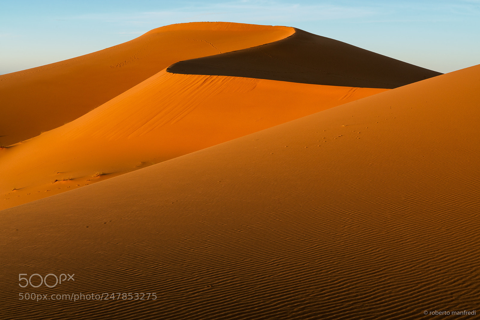 Sony a7R II sample photo. Sahara, the desert photography