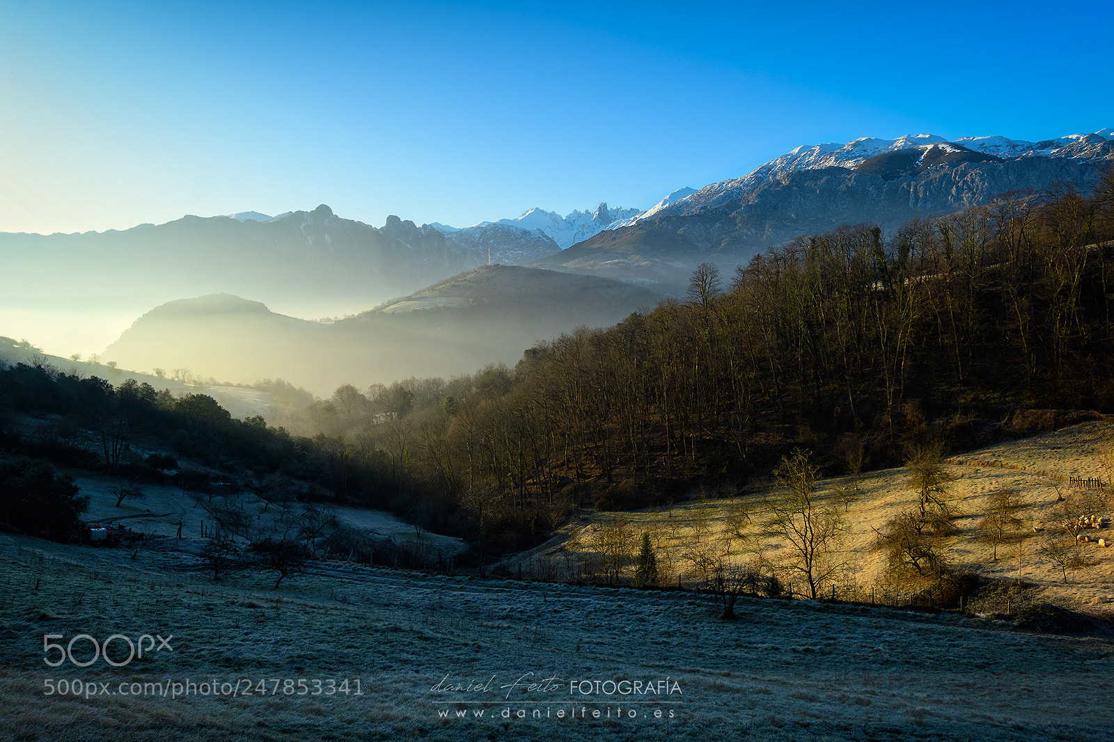 Nikon D500 sample photo. Frosty morning photography