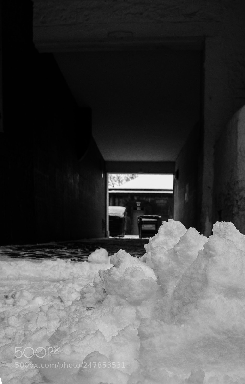 Nikon D7200 sample photo. Untitled photography