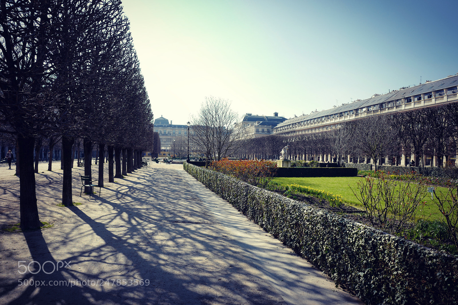 Leica Q (Typ 116) sample photo. Untitled photography