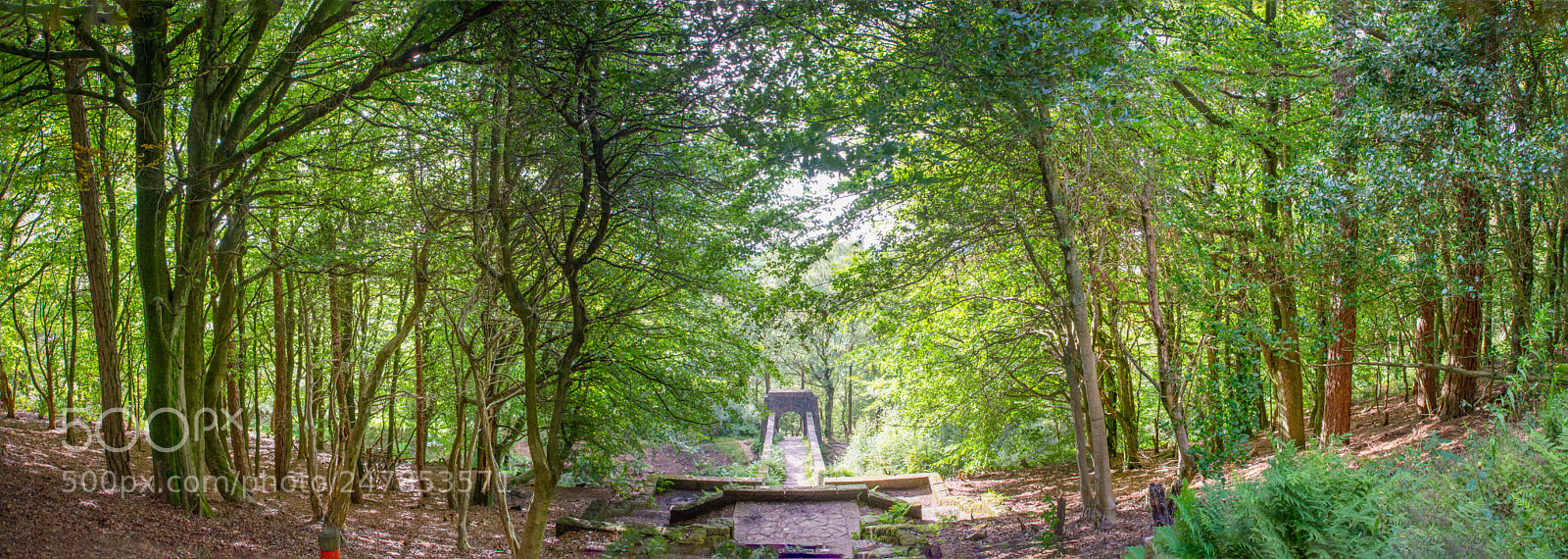 Nikon D610 sample photo. Rivington oriental chinese gardens photography