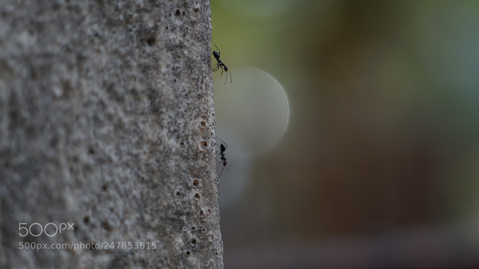 Sony a6300 sample photo. Fillow photography