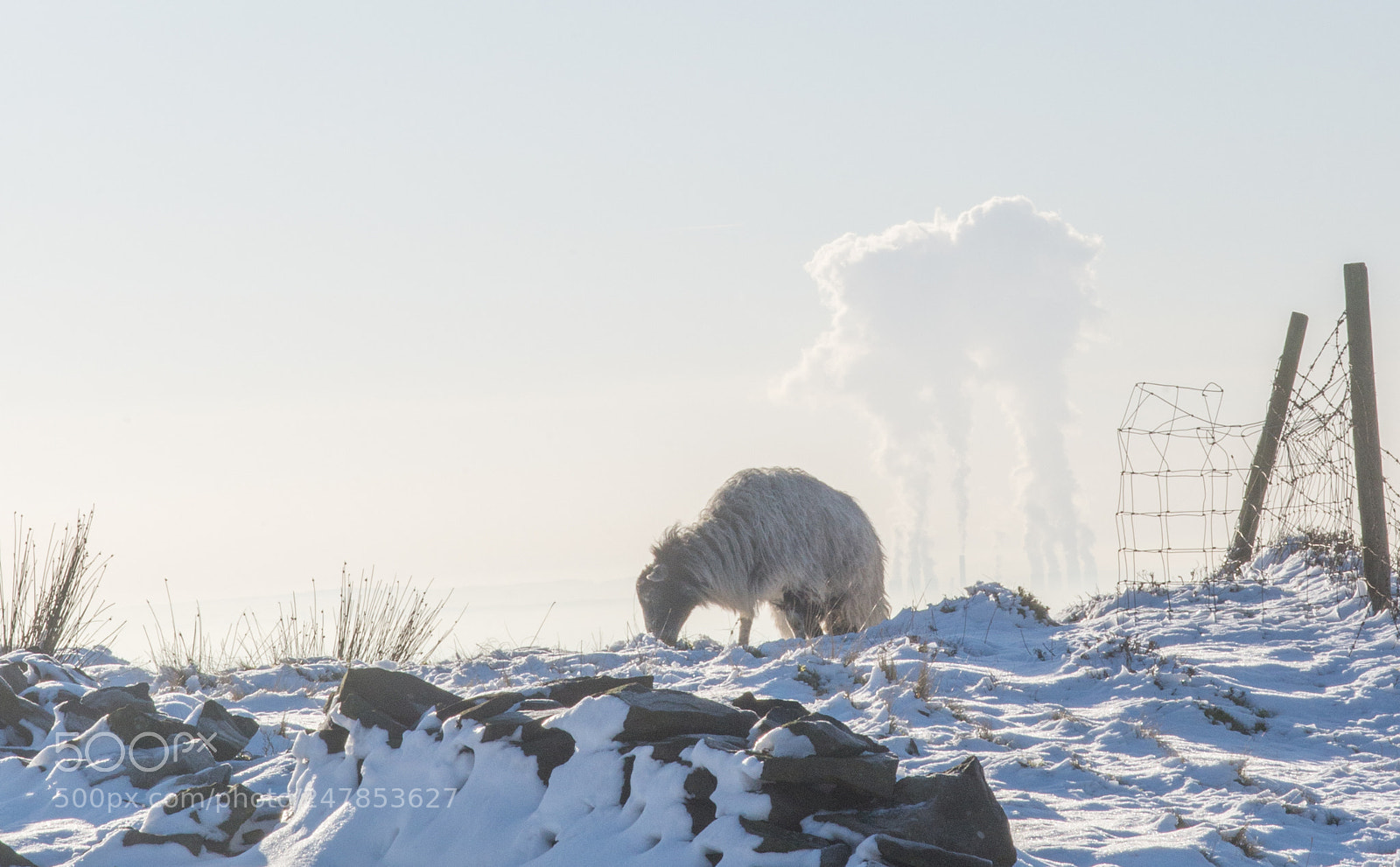 Nikon D600 sample photo. Winter hill in snow photography