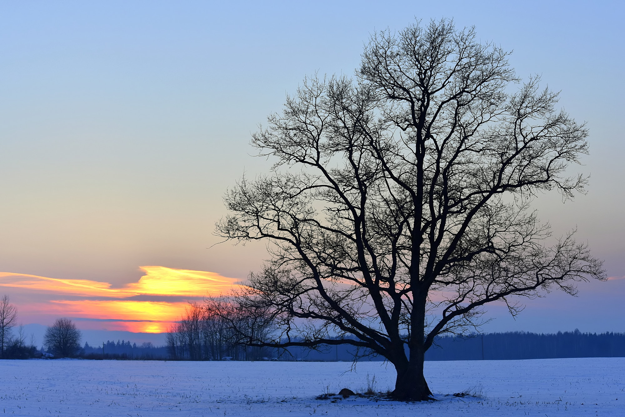 Nikon D3400 sample photo. Winter evening photography