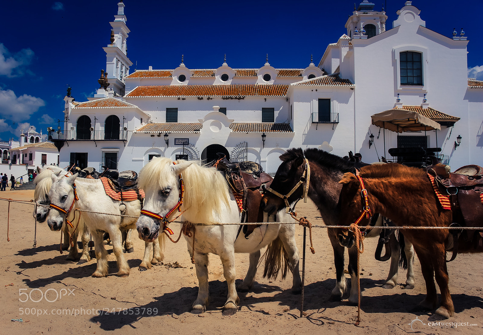 Canon EOS 700D (EOS Rebel T5i / EOS Kiss X7i) sample photo. Waiting ponies in el photography