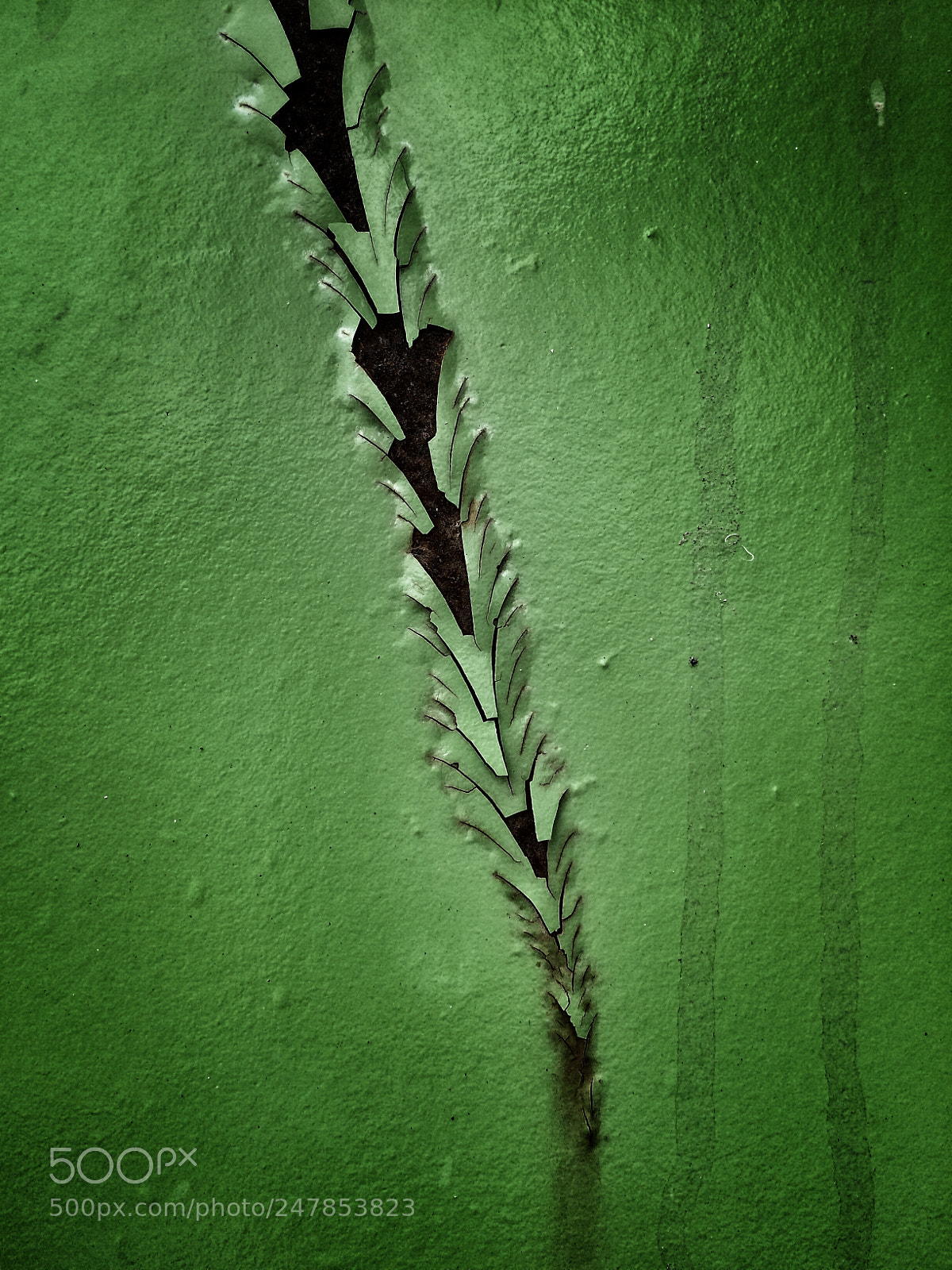 Apple iPhone 5s sample photo. H u l k photography