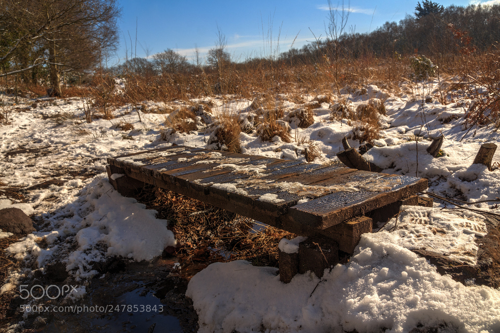 Canon EOS 650D (EOS Rebel T4i / EOS Kiss X6i) sample photo. Bridge over snowy water photography