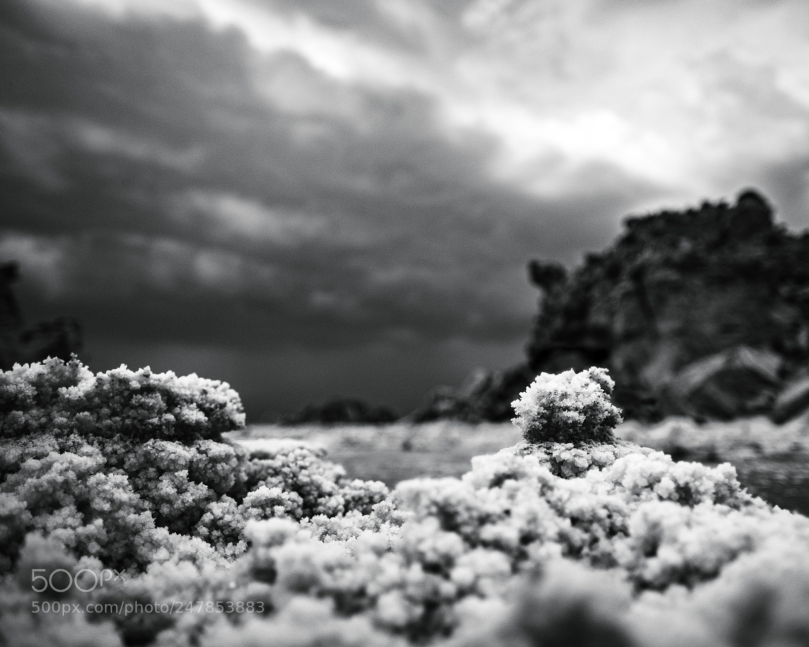 Fujifilm X-T2 sample photo. Moody morning photography