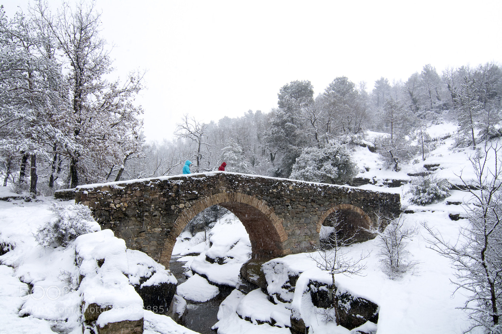 Nikon D7100 sample photo. Snow photography