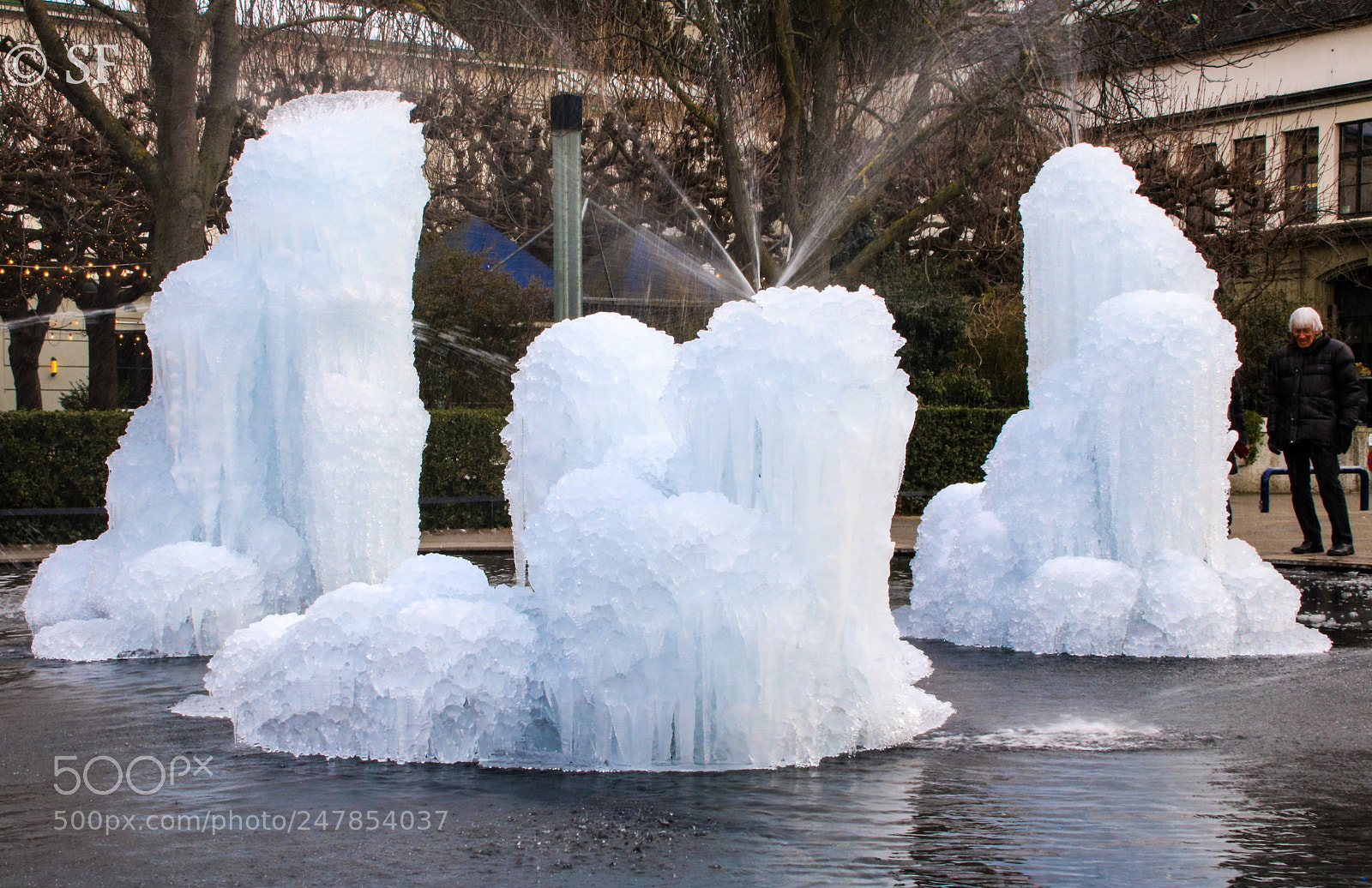 Canon EOS 750D (EOS Rebel T6i / EOS Kiss X8i) sample photo. This is winter! photography