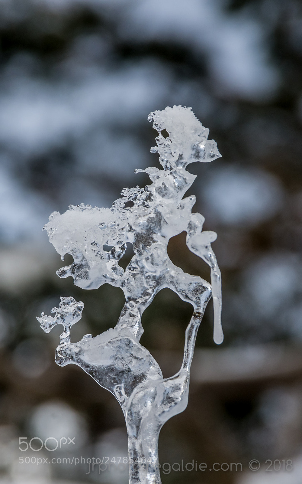 Pentax K-5 sample photo. The walker photography