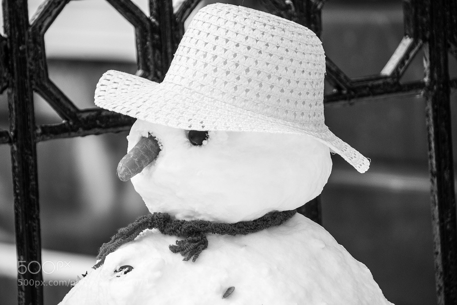 Nikon D7200 sample photo. Untitled photography