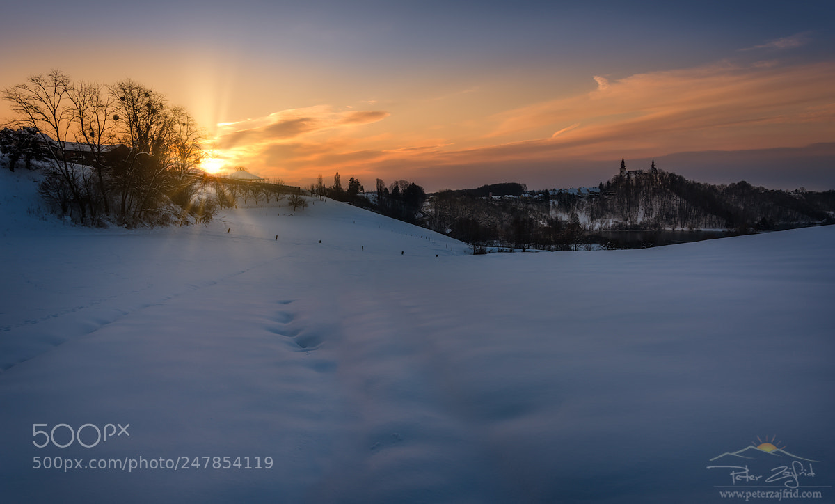 Nikon D810 sample photo. Winter field photography