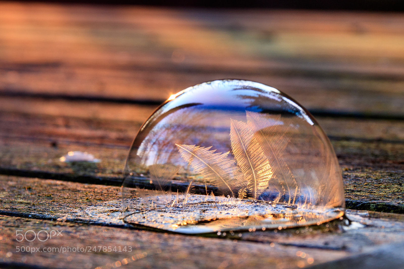 Canon EOS 760D (EOS Rebel T6s / EOS 8000D) sample photo. Frozen in time photography