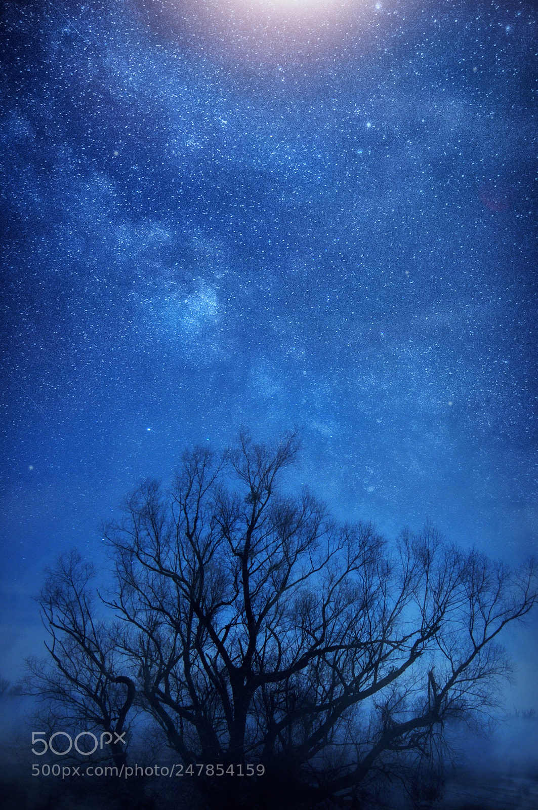 Nikon D300 sample photo. Milky way photography