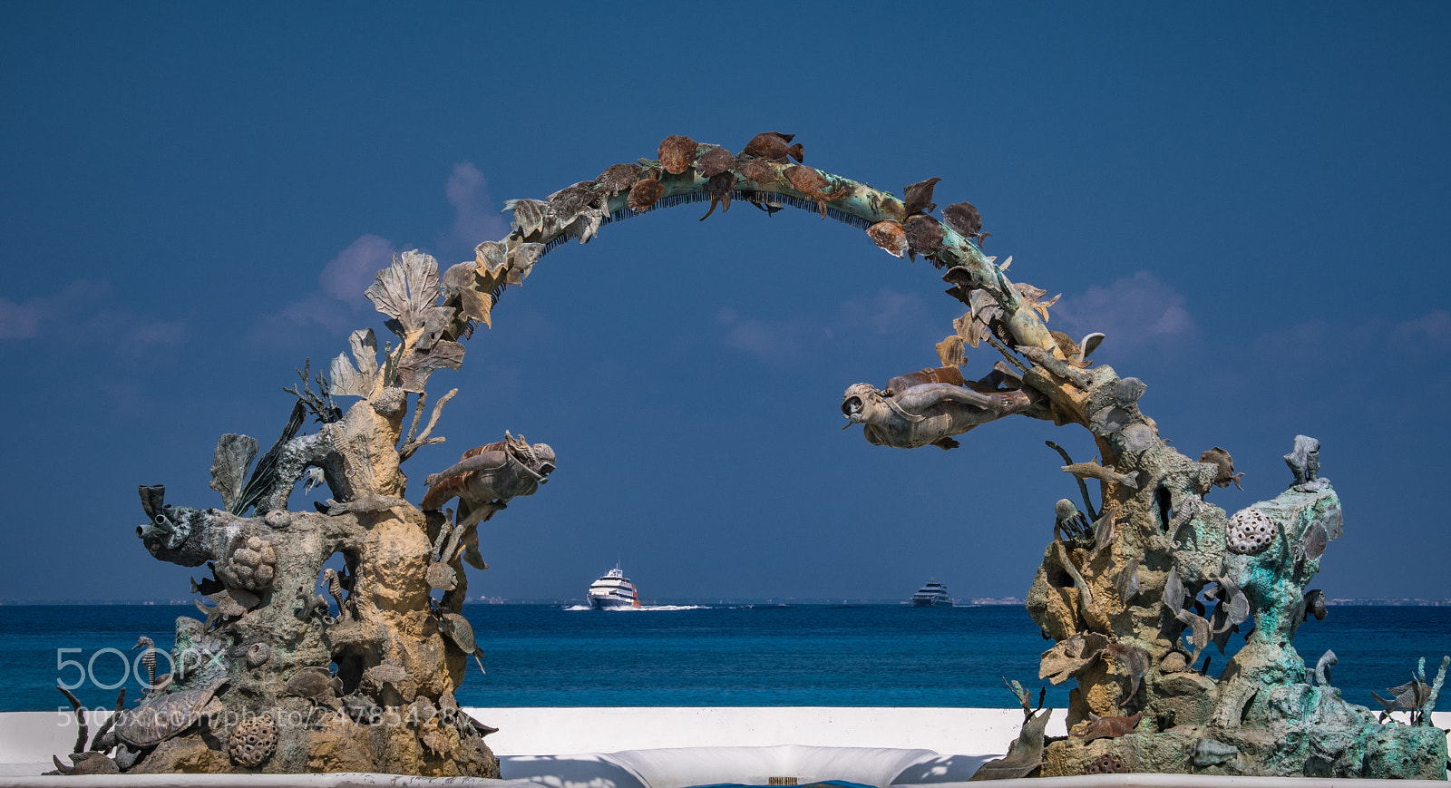 Nikon D500 sample photo. Ironman photography