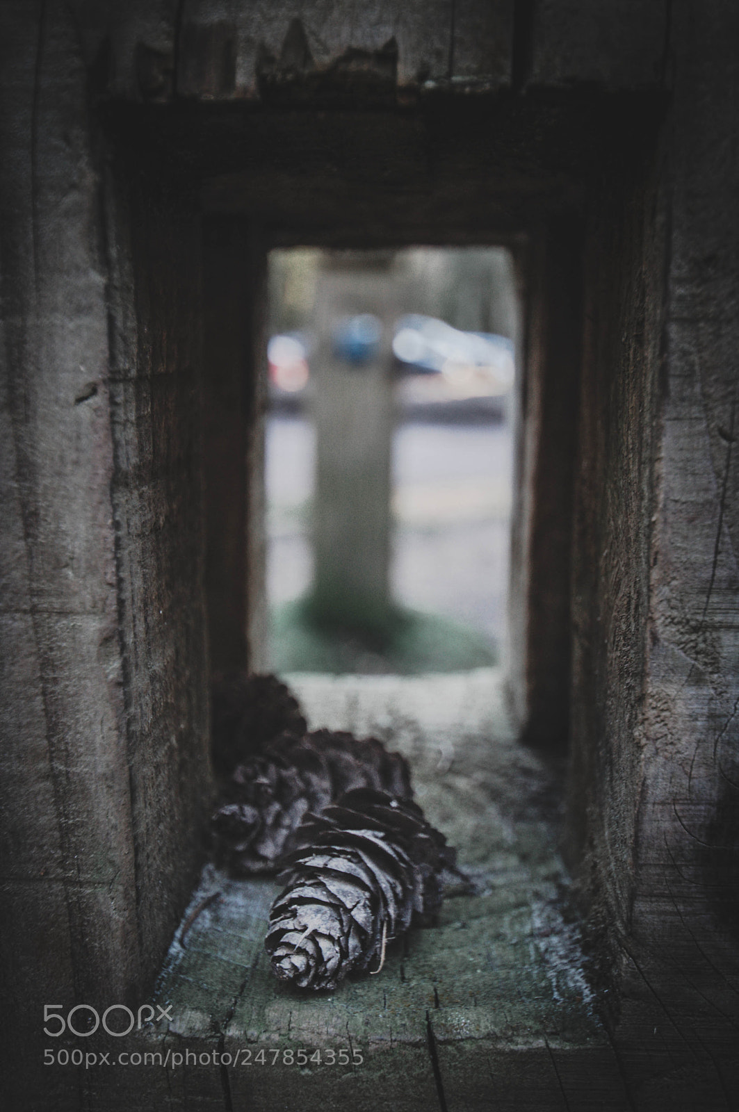 Nikon D90 sample photo. Perfect hideout photography