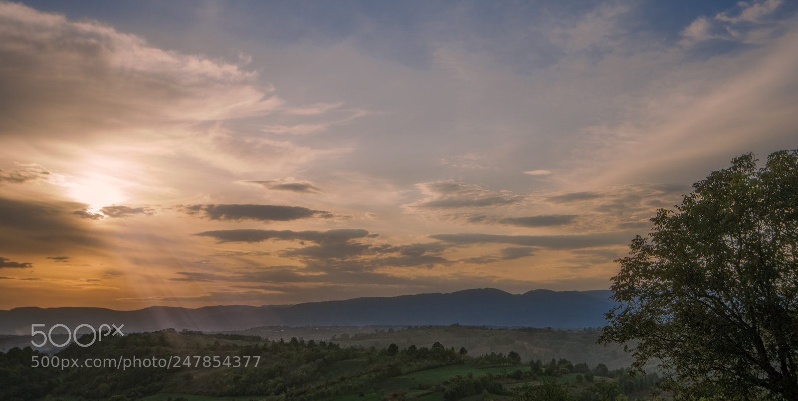 Nikon D810 sample photo. Sky show photography