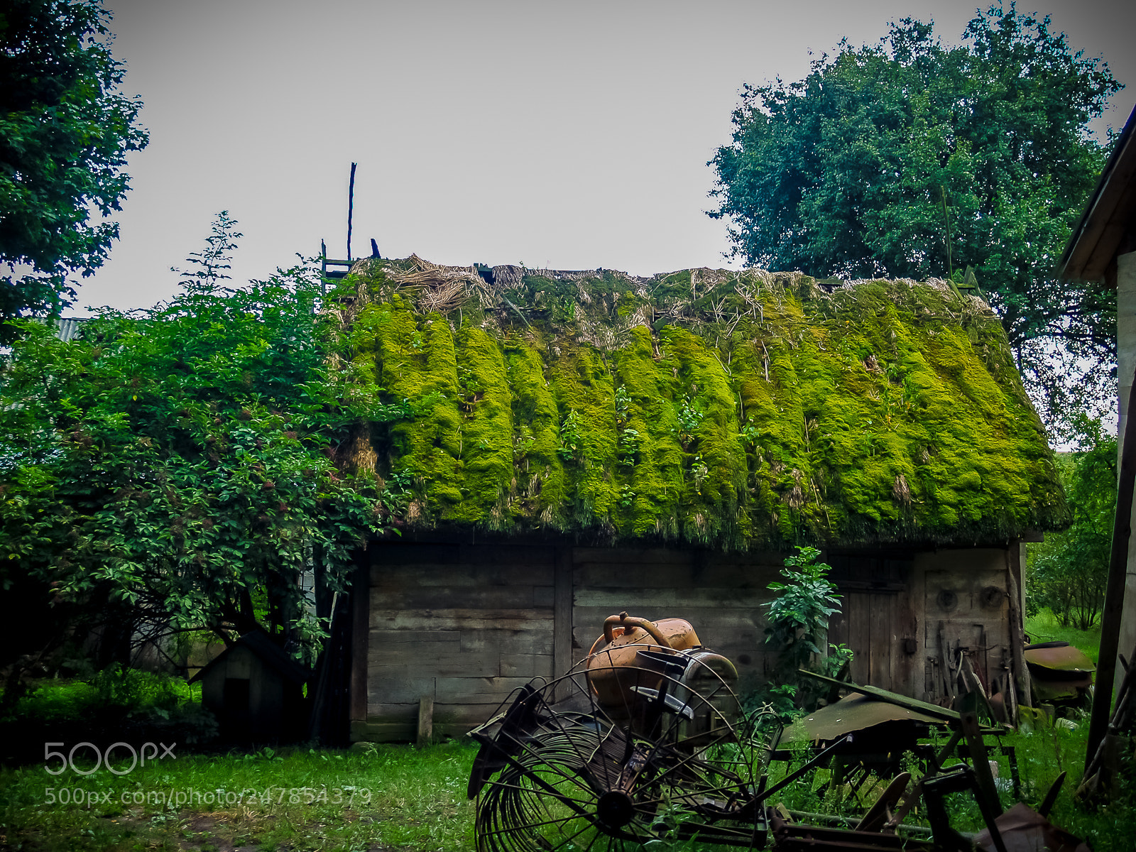 Olympus E-500 (EVOLT E-500) sample photo. Zapomniane photography