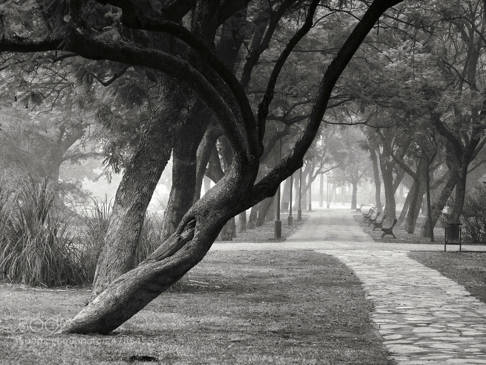 Olympus PEN E-PL5 sample photo. Bruma photography